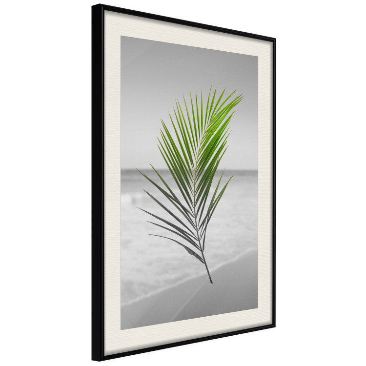 Poster Green Palm Branch - Tropical plant and sea with beach in the background 114395 additionalImage 3