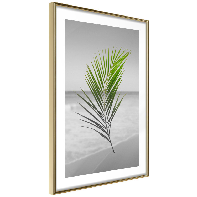 Poster Green Palm Branch - Tropical plant and sea with beach in the background 114395 additionalImage 8