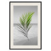 Poster Green Palm Branch - Tropical plant and sea with beach in the background 114395 additionalThumb 18