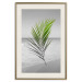 Poster Green Palm Branch - Tropical plant and sea with beach in the background 114395 additionalThumb 19