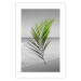 Poster Green Palm Branch - Tropical plant and sea with beach in the background 114395 additionalThumb 25