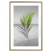 Poster Green Palm Branch - Tropical plant and sea with beach in the background 114395 additionalThumb 16
