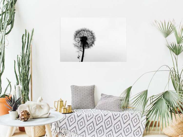 Poster Loneliness - black and white composition with a solitary delicate dandelion 114995 additionalImage 23