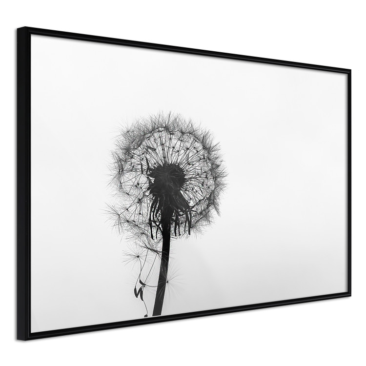 Poster Loneliness - black and white composition with a solitary delicate dandelion 114995 additionalImage 12