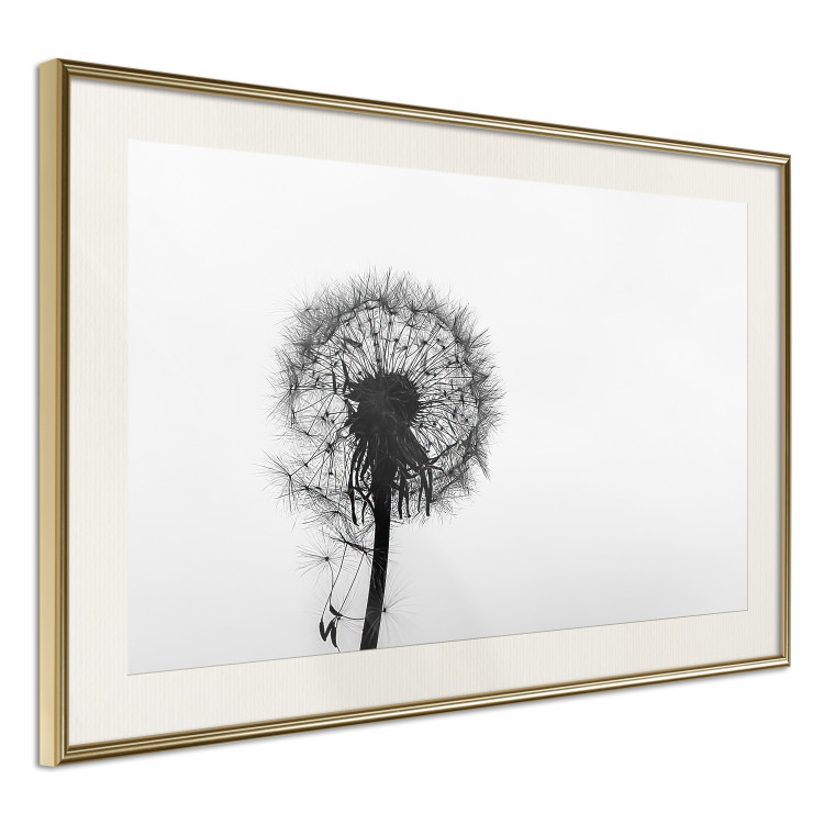 Poster Loneliness - black and white composition with a solitary delicate dandelion 114995 additionalImage 2