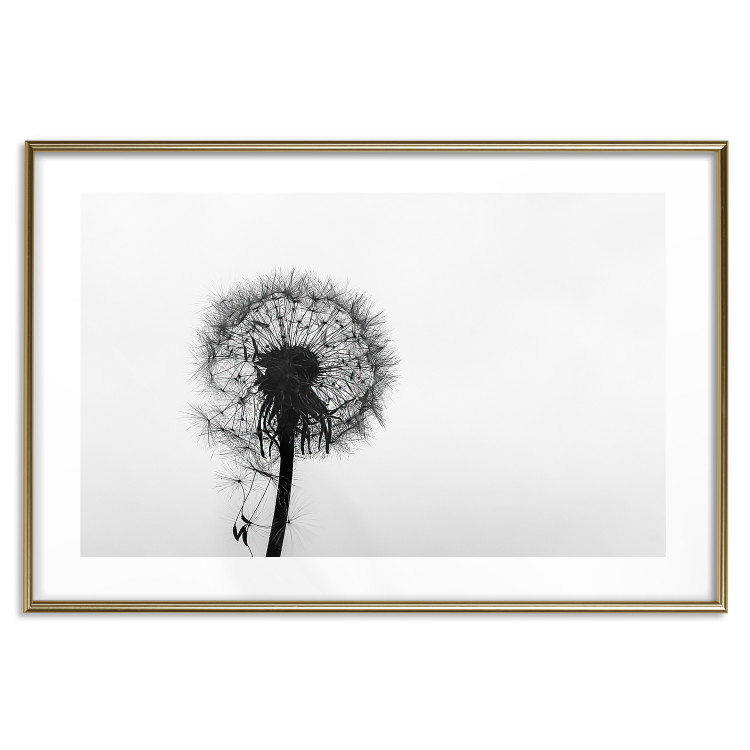 Poster Loneliness - black and white composition with a solitary delicate dandelion 114995 additionalImage 16