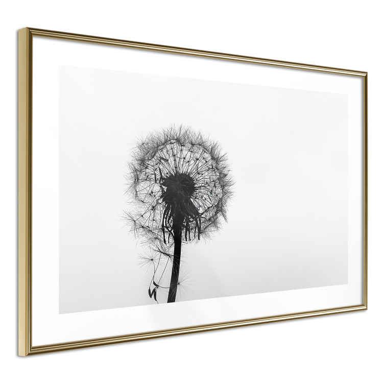 Poster Loneliness - black and white composition with a solitary delicate dandelion 114995 additionalImage 8