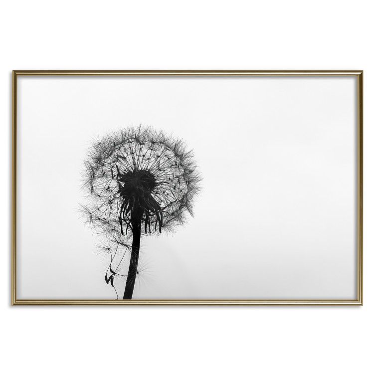 Poster Loneliness - black and white composition with a solitary delicate dandelion 114995 additionalImage 20