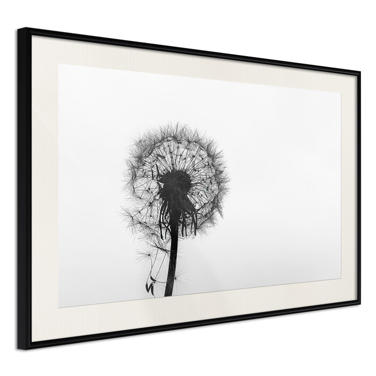 Poster Loneliness - black and white composition with a solitary delicate dandelion 114995 additionalImage 3
