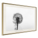 Poster Loneliness - black and white composition with a solitary delicate dandelion 114995 additionalThumb 2