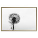 Poster Loneliness - black and white composition with a solitary delicate dandelion 114995 additionalThumb 20