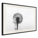 Poster Loneliness - black and white composition with a solitary delicate dandelion 114995 additionalThumb 3