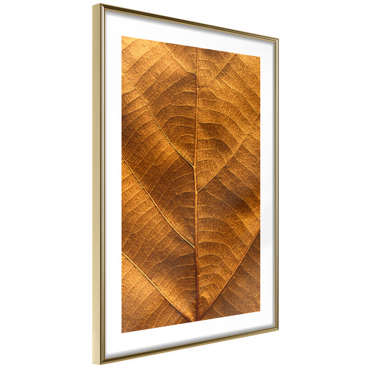 Wall Poster Autumn Leaf - golden texture of a leaf with intricate details 123795 additionalImage 6