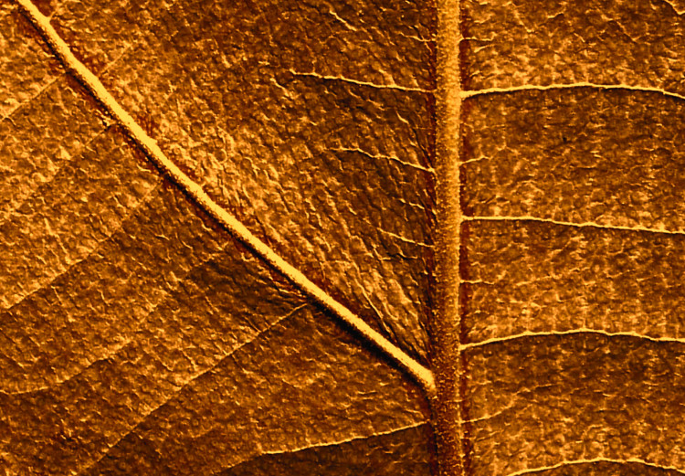Wall Poster Autumn Leaf - golden texture of a leaf with intricate details 123795 additionalImage 9