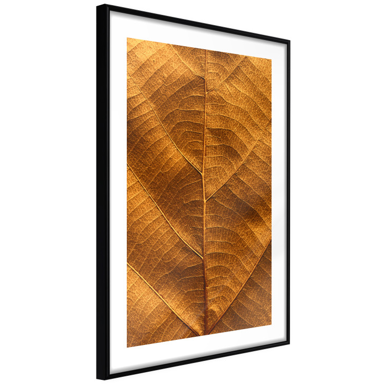 Wall Poster Autumn Leaf - golden texture of a leaf with intricate details 123795 additionalImage 11