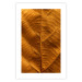 Wall Poster Autumn Leaf - golden texture of a leaf with intricate details 123795 additionalThumb 19