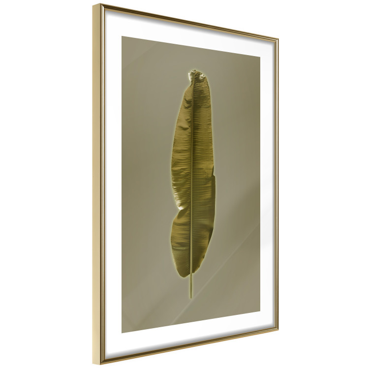 Poster Exotic Leaf - green leaf from a banana tree on a solid background 126195 additionalImage 6