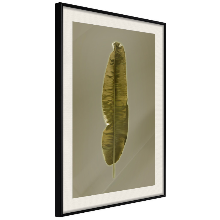 Poster Exotic Leaf - green leaf from a banana tree on a solid background 126195 additionalImage 3