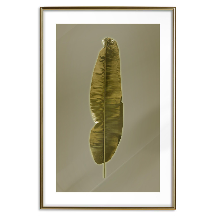 Poster Exotic Leaf - green leaf from a banana tree on a solid background 126195 additionalImage 14