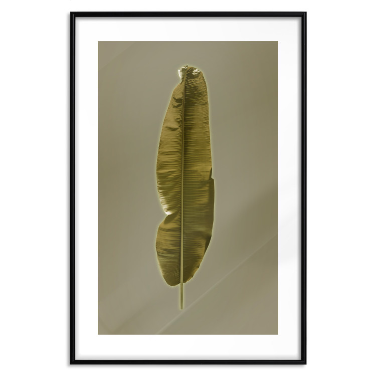 Poster Exotic Leaf - green leaf from a banana tree on a solid background 126195 additionalImage 17