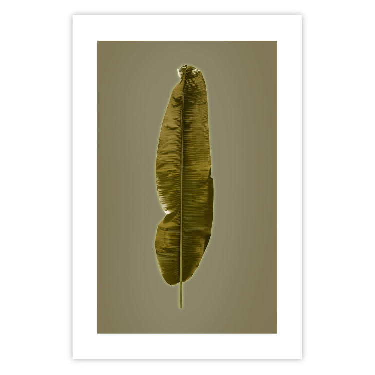 Poster Exotic Leaf - green leaf from a banana tree on a solid background 126195 additionalImage 19