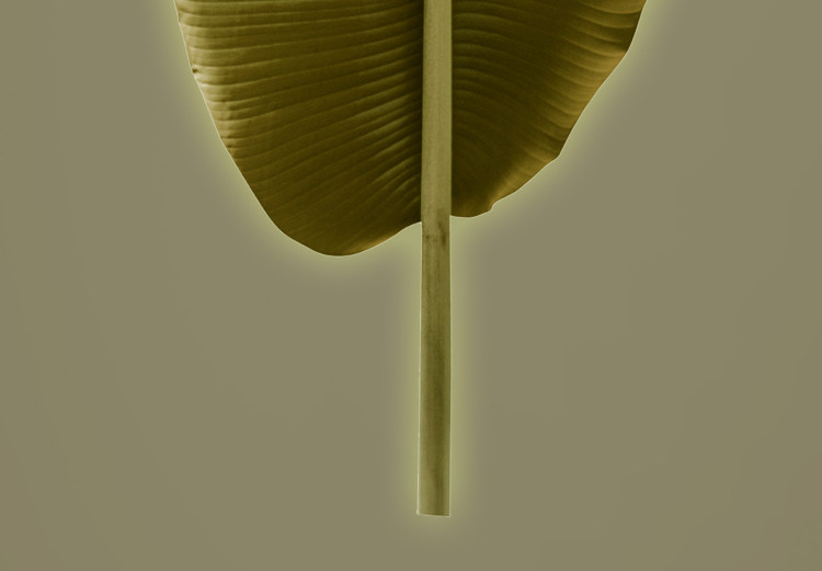 Poster Exotic Leaf - green leaf from a banana tree on a solid background 126195 additionalImage 10