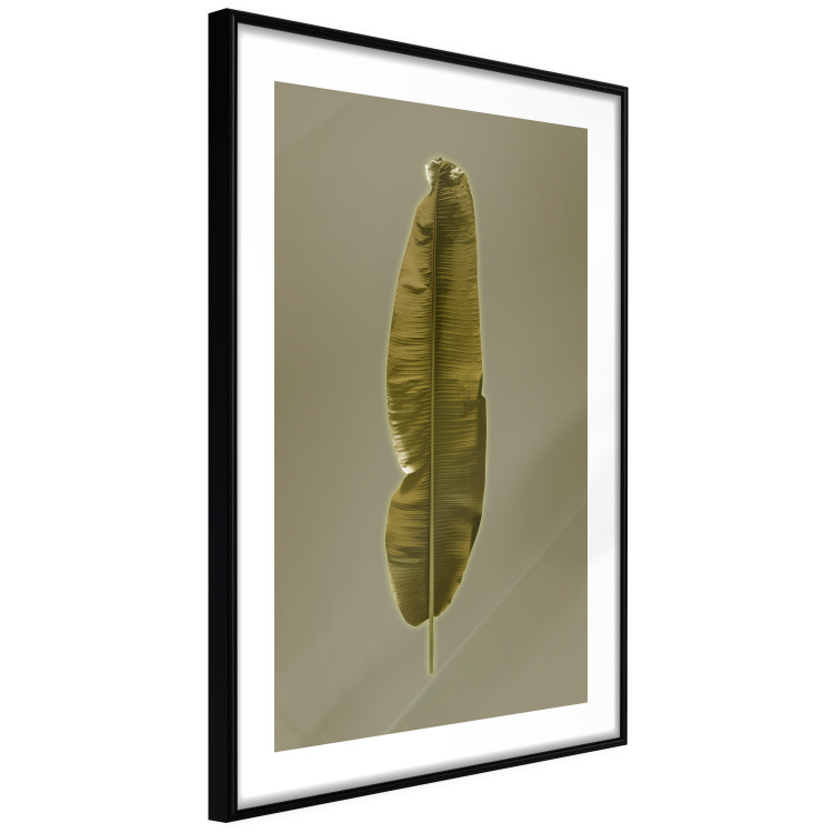 Poster Exotic Leaf - green leaf from a banana tree on a solid background 126195 additionalImage 13