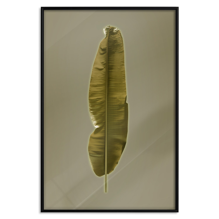 Poster Exotic Leaf - green leaf from a banana tree on a solid background 126195 additionalImage 18