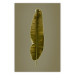 Poster Exotic Leaf - green leaf from a banana tree on a solid background 126195