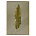 Poster Exotic Leaf - green leaf from a banana tree on a solid background 126195 additionalThumb 16