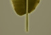 Poster Exotic Leaf - green leaf from a banana tree on a solid background 126195 additionalThumb 10