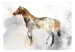 Photo Wallpaper Steed - horse motif with coloured accent on a solid textured background 127495 additionalThumb 1