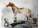 Photo Wallpaper Steed - horse motif with coloured accent on a solid textured background 127495