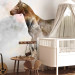 Photo Wallpaper Steed - horse motif with coloured accent on a solid textured background 127495 additionalThumb 5
