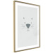 Wall Poster Kitty Face - animal with a funny face on a solid gray background 130695 additionalThumb 7