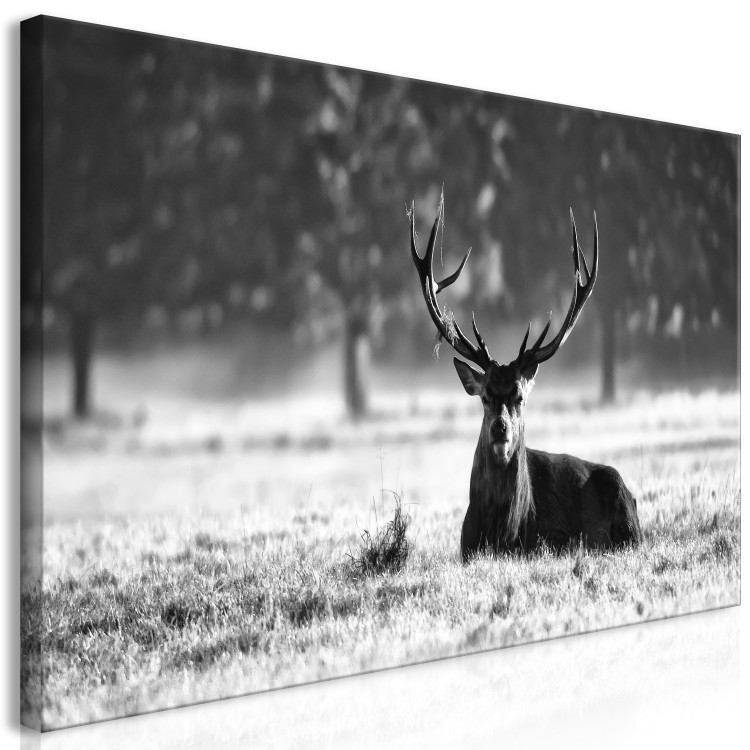 Large canvas print Lying Deer II [Large Format] 137595 additionalImage 3