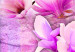 Canvas Print Pink magnolia flowers 56595 additionalThumb 3