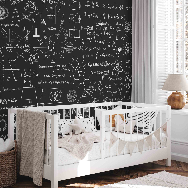 Wall Mural Science on Chalkboard 90295 additionalImage 6