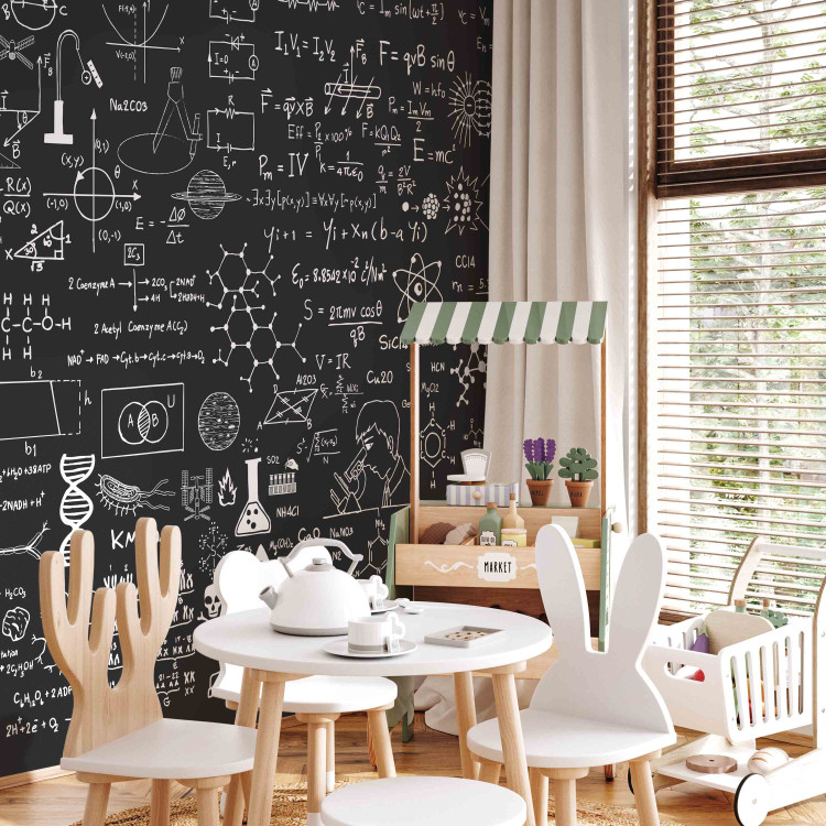 Wall Mural Science on Chalkboard 90295 additionalImage 5