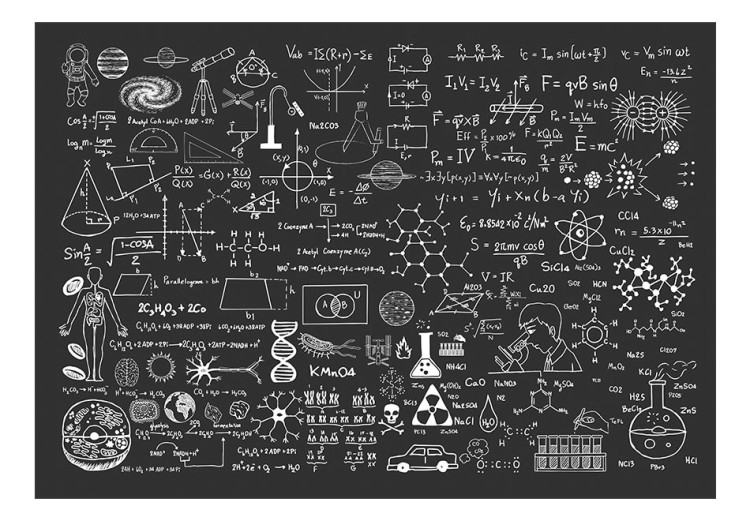 Wall Mural Science on Chalkboard 90295 additionalImage 1
