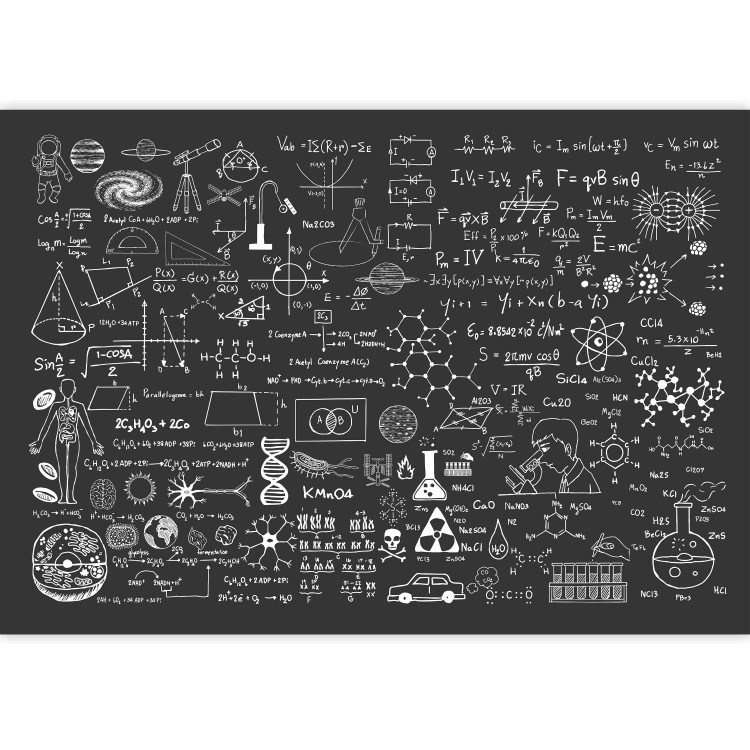 Wall Mural Science on Chalkboard 90295 additionalImage 3