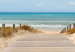 Canvas Beach Entrance (5-piece) - View of the Mediterranean Sea 98595 additionalThumb 5