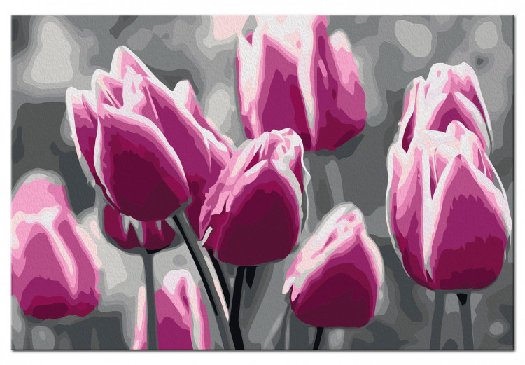 Paint by number Tulip Field 107506 additionalImage 6