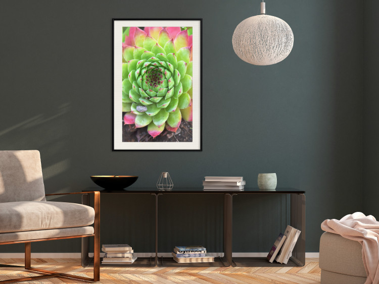 Wall Poster Succulent - botanical composition with green-pink tropical leaves 114306 additionalImage 22