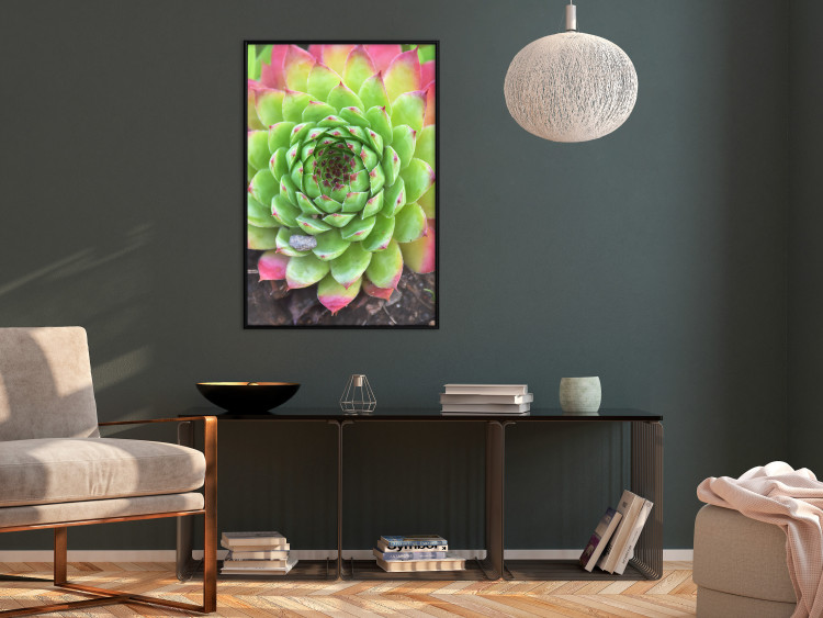 Wall Poster Succulent - botanical composition with green-pink tropical leaves 114306 additionalImage 8