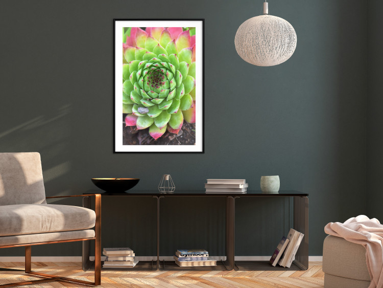 Wall Poster Succulent - botanical composition with green-pink tropical leaves 114306 additionalImage 9