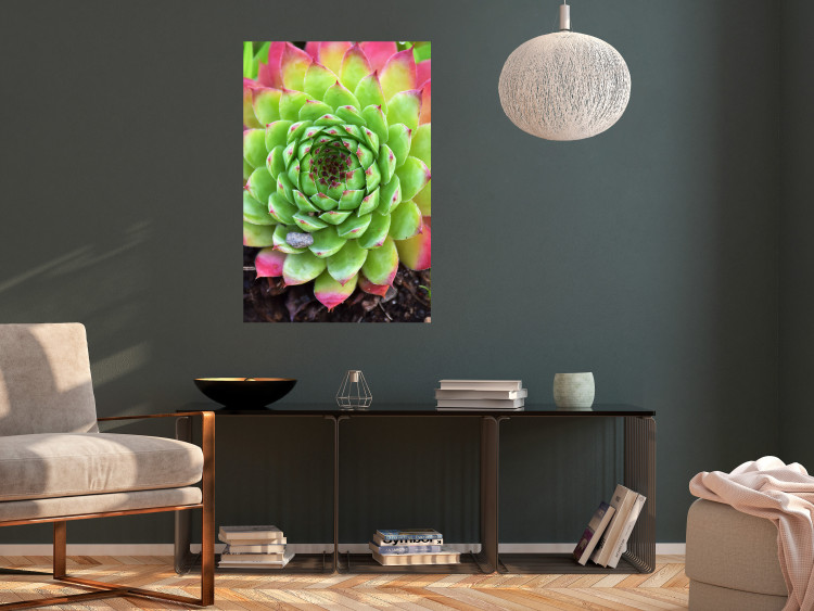 Wall Poster Succulent - botanical composition with green-pink tropical leaves 114306 additionalImage 17