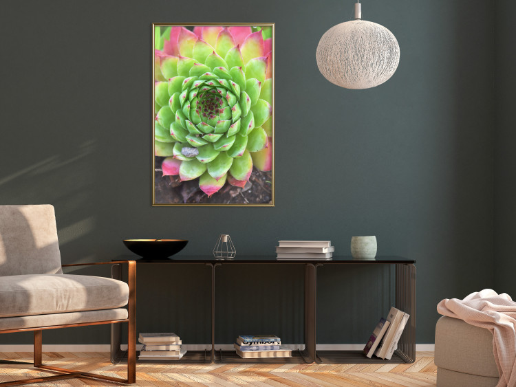 Wall Poster Succulent - botanical composition with green-pink tropical leaves 114306 additionalImage 10