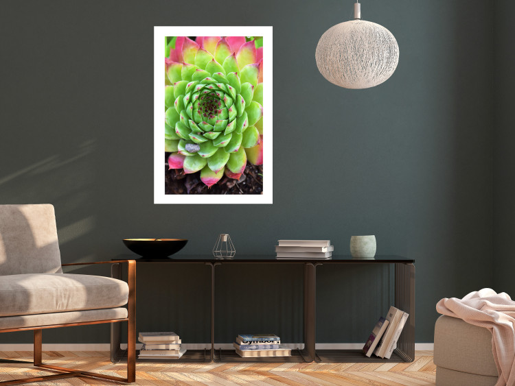 Wall Poster Succulent - botanical composition with green-pink tropical leaves 114306 additionalImage 7