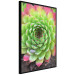 Wall Poster Succulent - botanical composition with green-pink tropical leaves 114306 additionalThumb 2